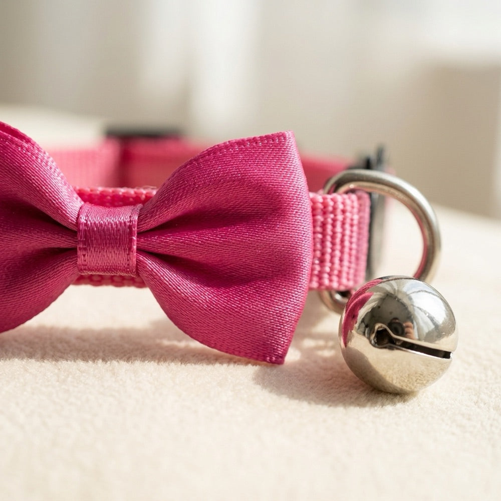 Close-up of the bow and jingle bell on the cat collar